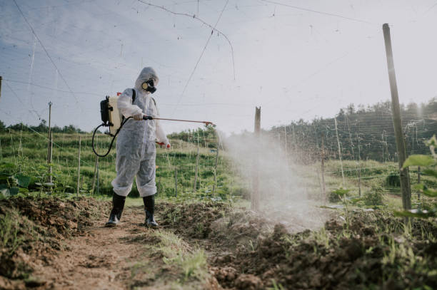 Best Best Pest Control Companies  in Keene, TX