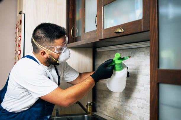 Best Exterminator Services  in Keene, TX