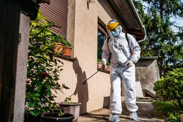 Best Wildlife Control Services  in Keene, TX