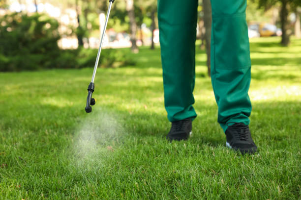 Best Residential Pest Control  in Keene, TX