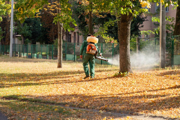 Best Pest Prevention Services  in Keene, TX