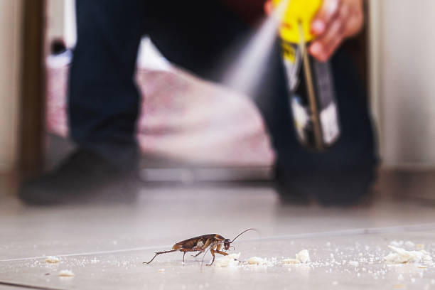 Wildlife Control Services in Keene, TX