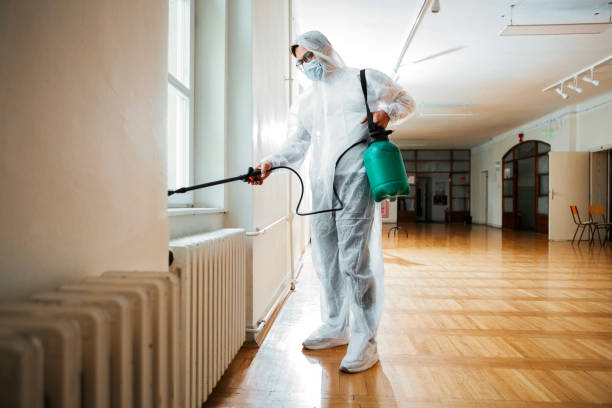 Best Local Pest Control Services  in Keene, TX