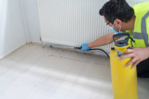 Best Best Pest Control Companies  in Keene, TX