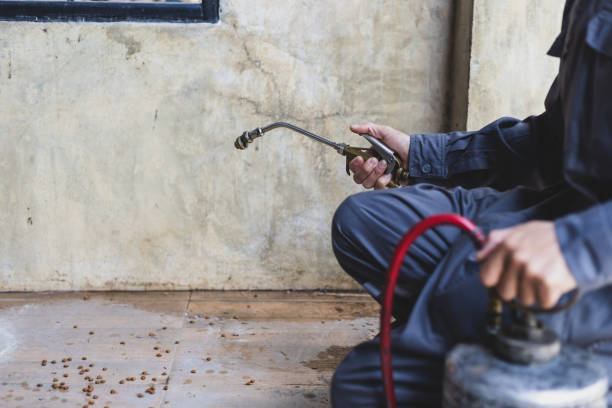 Best Affordable Pest Control Services  in Keene, TX